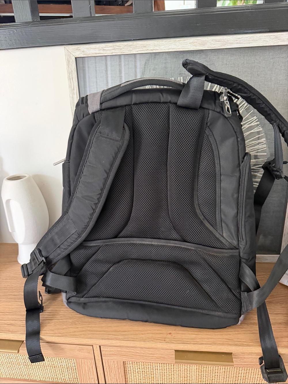 Briggs & Riley BRX Excursion Backpack - Picture 10 of 10